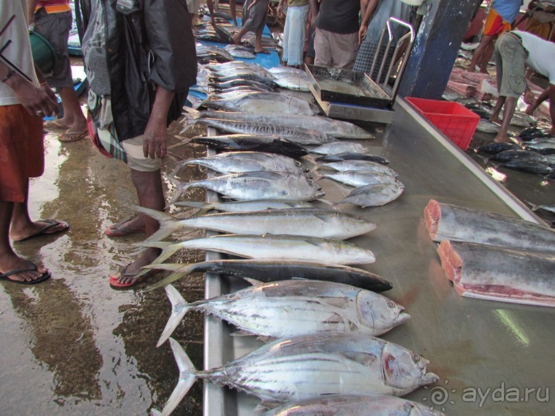 Скоро вернемся в Romantic Villa !!!!! 