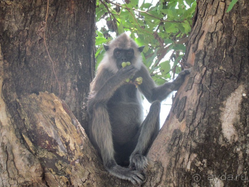 Скоро вернемся в Romantic Villa !!!!! 