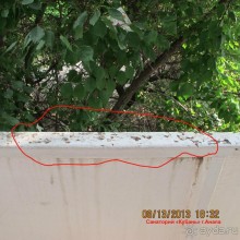 Санаторий КУБАНЬ - отстой!