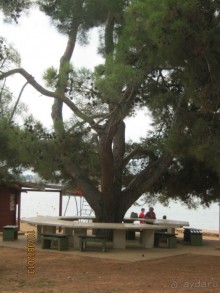 Тихо,спокойно,доброжелательно