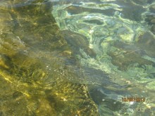 Тихо,спокойно,доброжелательно