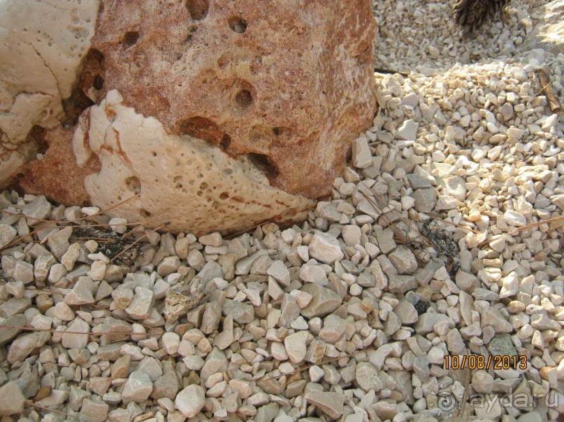 Тихо,спокойно,доброжелательно