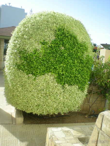 Отличный отель для семейных пар