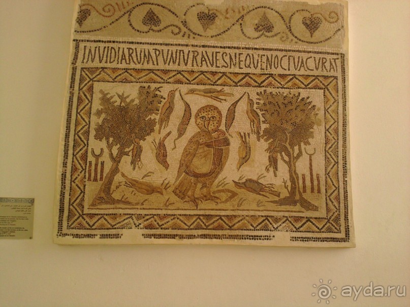 Самостоятельно в Эль-Джем