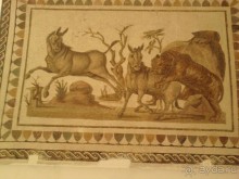 Самостоятельно в Эль-Джем