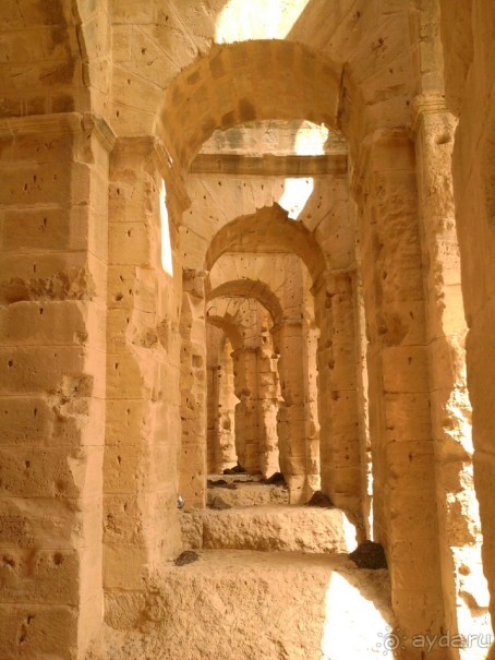 Самостоятельно в Эль-Джем