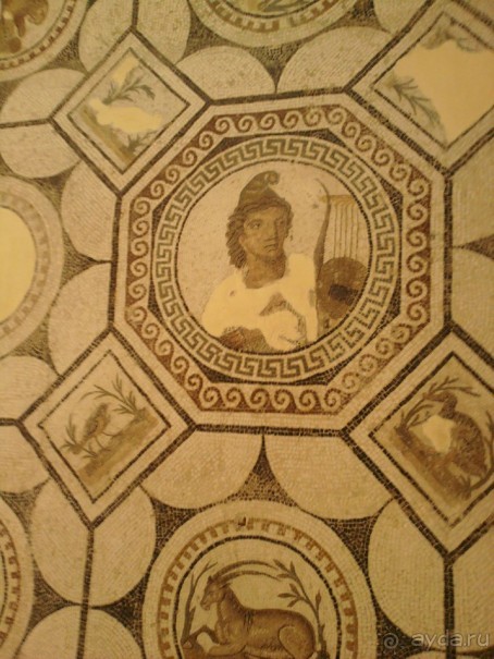 Самостоятельно в Эль-Джем