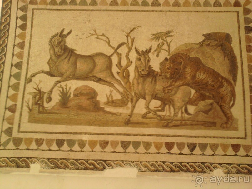 Самостоятельно в Эль-Джем