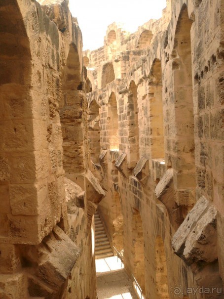 Самостоятельно в Эль-Джем