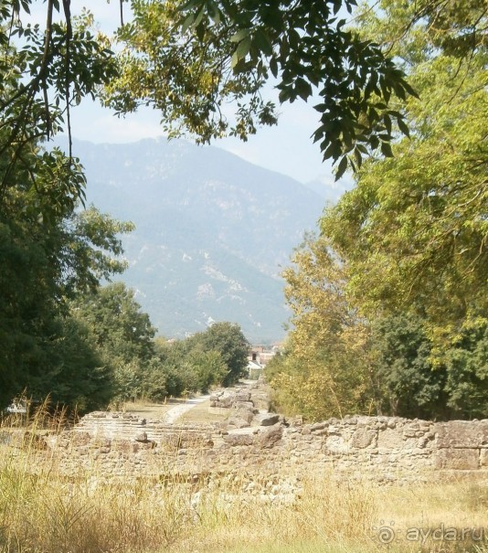 Отличный отпуск в Паралии