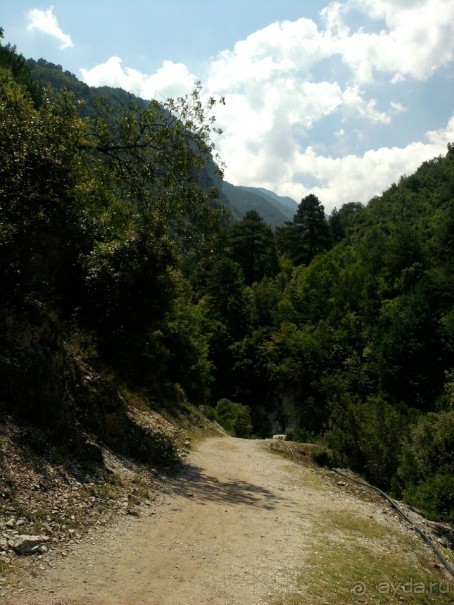 Отличный отпуск в Паралии