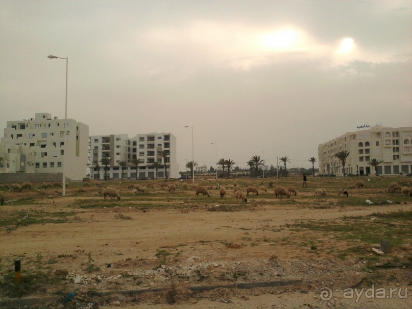 Тунис - страна контрастов!