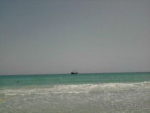 фото Thalassa Mahdia