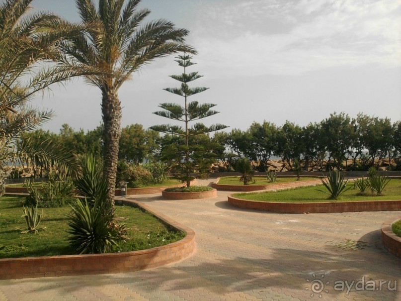 Тунис - страна контрастов!