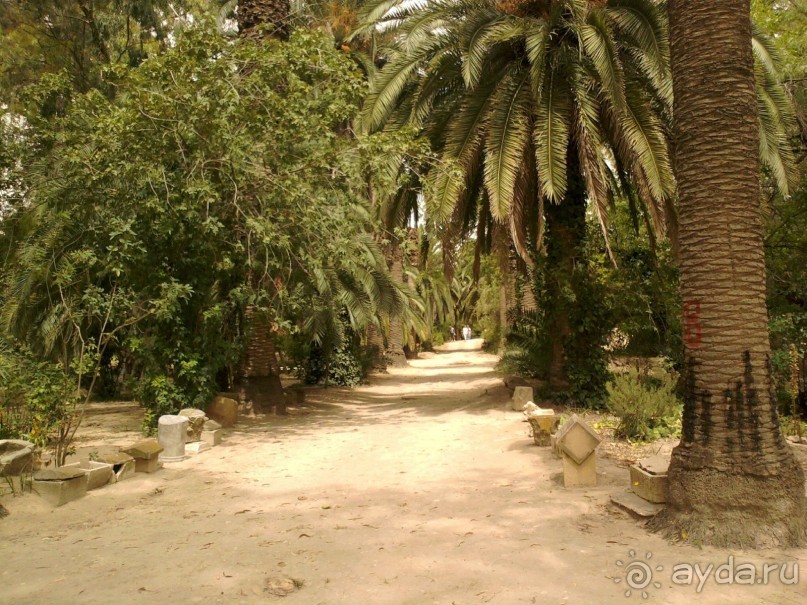 Тунис. На перекрестке эпох и культур.