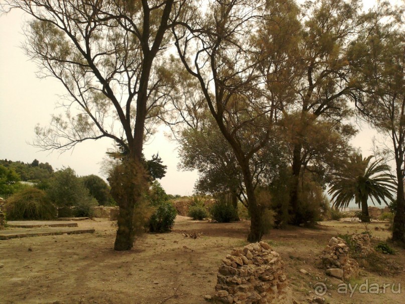 Тунис. На перекрестке эпох и культур.