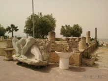 Тунис. На перекрестке эпох и культур.