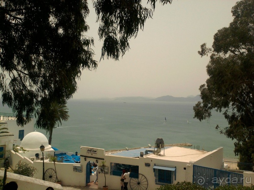 Тунис. На перекрестке эпох и культур.