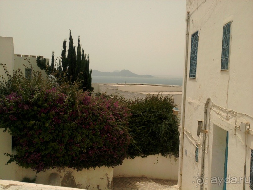 Тунис. На перекрестке эпох и культур.