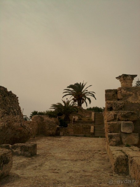 Тунис. На перекрестке эпох и культур.