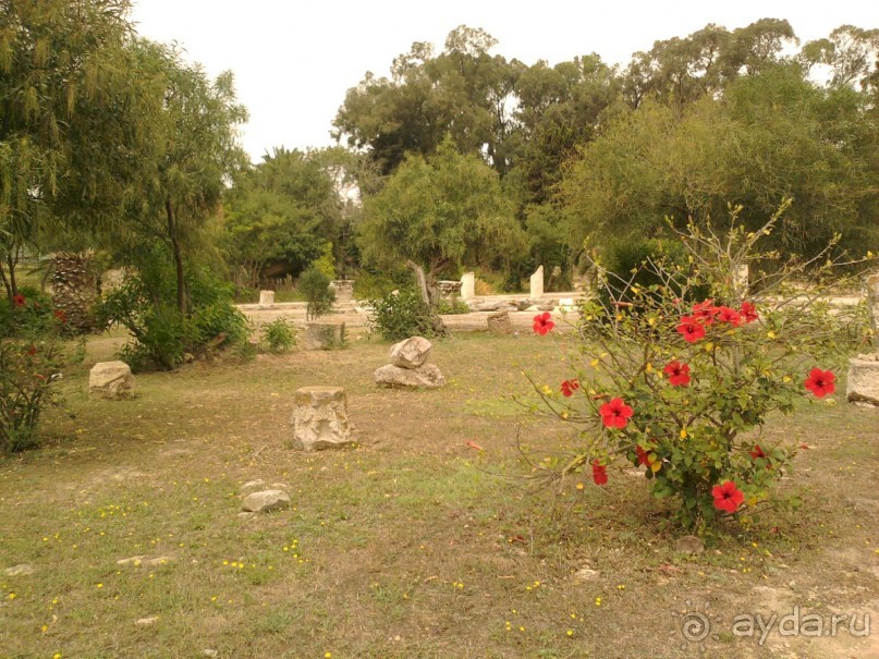 Тунис. На перекрестке эпох и культур.