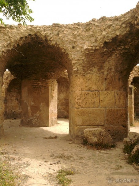 Тунис. На перекрестке эпох и культур.