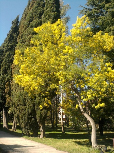 Отличный санаторий