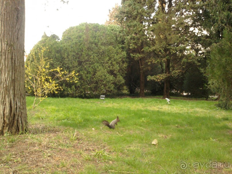 Отличный санаторий