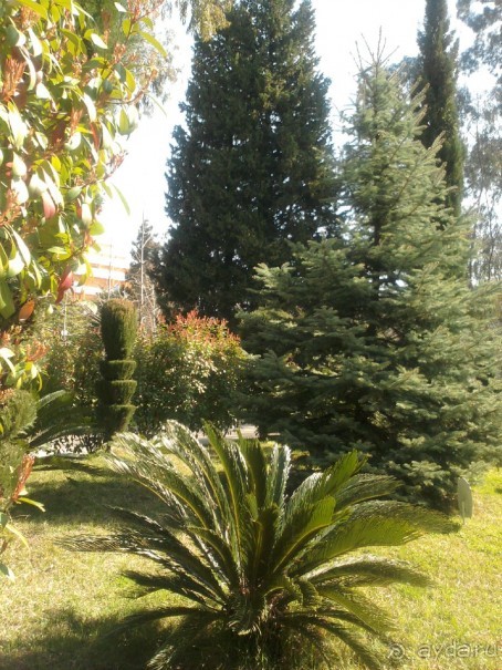 Отличный санаторий