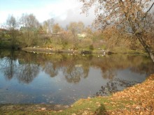 Родные все места: высокий барский дом...