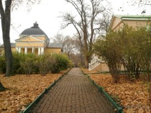 Родные все места: высокий барский дом...