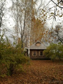 Родные все места: высокий барский дом...
