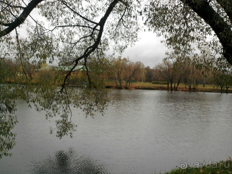 Родные все места: высокий барский дом...