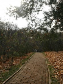 Родные все места: высокий барский дом...