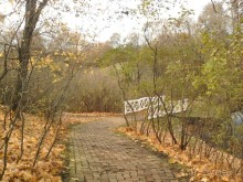 Родные все места: высокий барский дом...