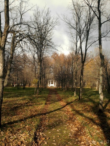 Родные все места: высокий барский дом...