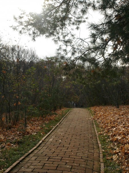 Родные все места: высокий барский дом...