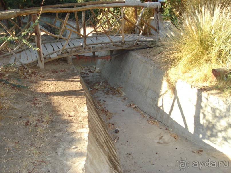 Только не этот отель