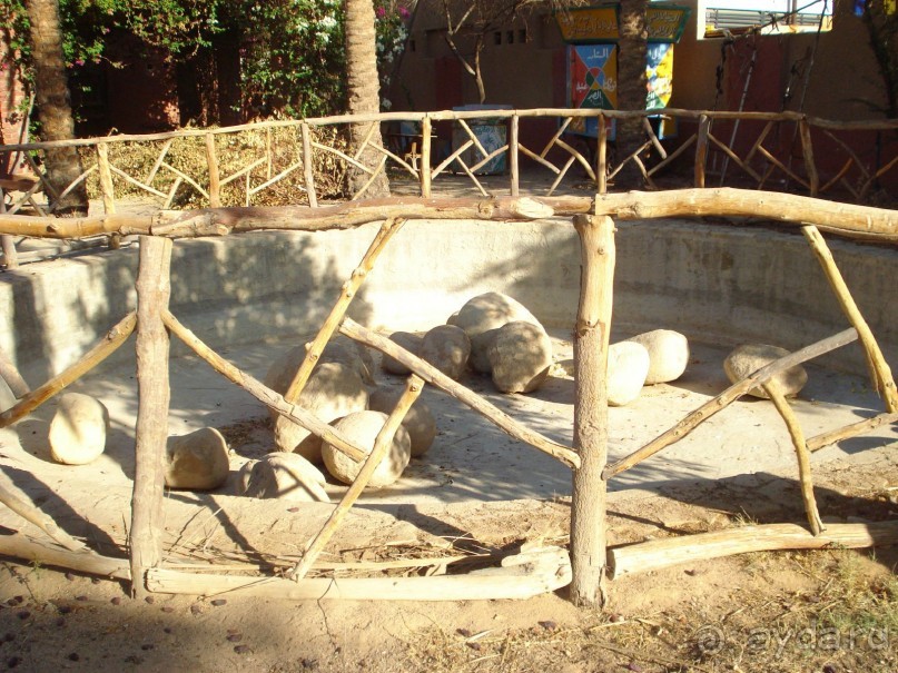 Только не этот отель