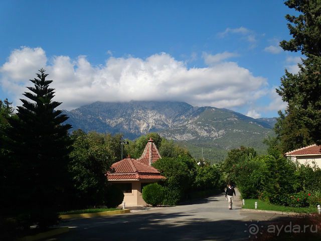 Отдыхаем уже не первый год.