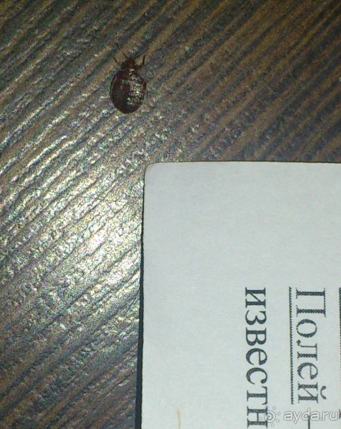 Парижский кошмар 