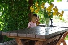 фото Ботово