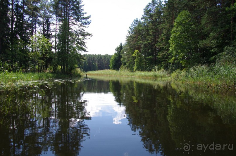 Просто хорошо.