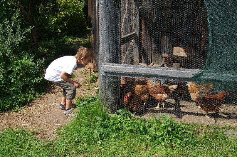 Просто хорошо.