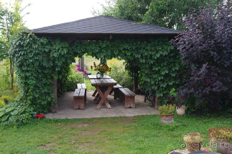 Просто хорошо.