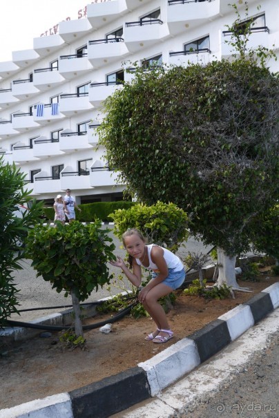 Экономичный отель с прекрасным расположением