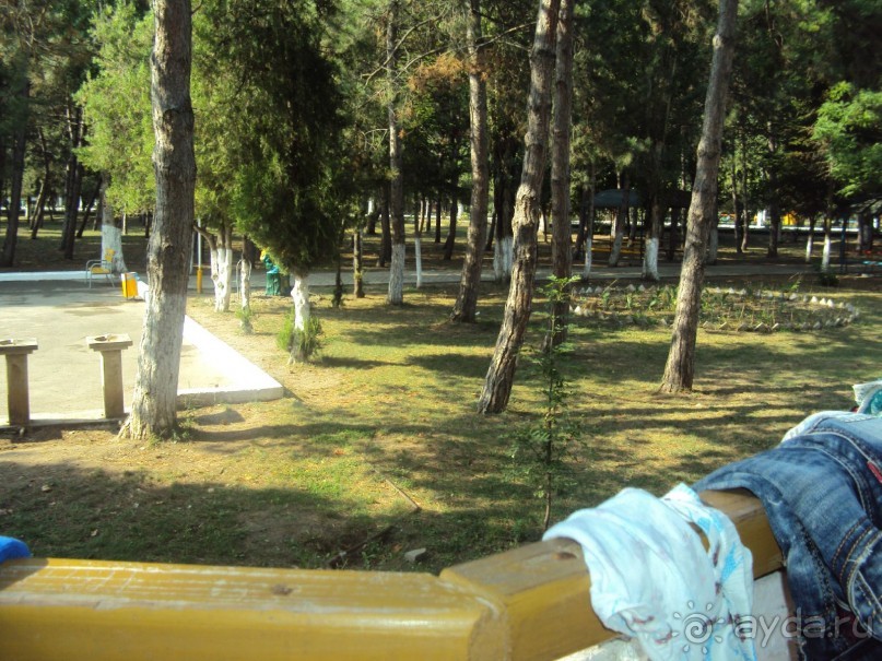 "отель жемчужина россии анапа резорт&amp;спа 6*"