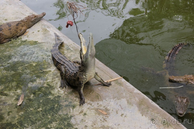 Отличный отдых.