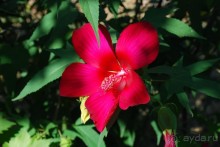 Очень хорошо!