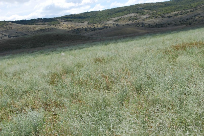 Очень хорошо!